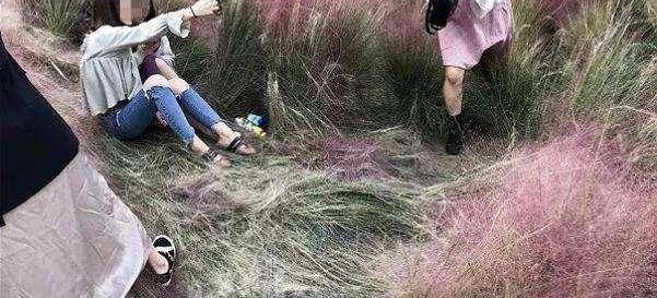 这片网红“花海”被蹂躏成这样!我们的行为要配得上这美丽的风景