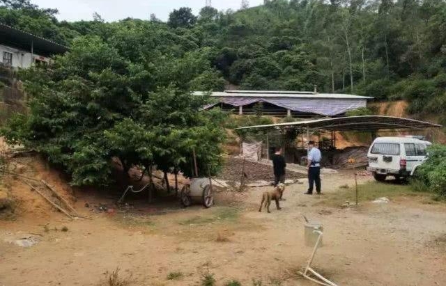 广东 20 斤重大蟒蛇溜进鸡场吃鸡 吃饱了还不肯离开