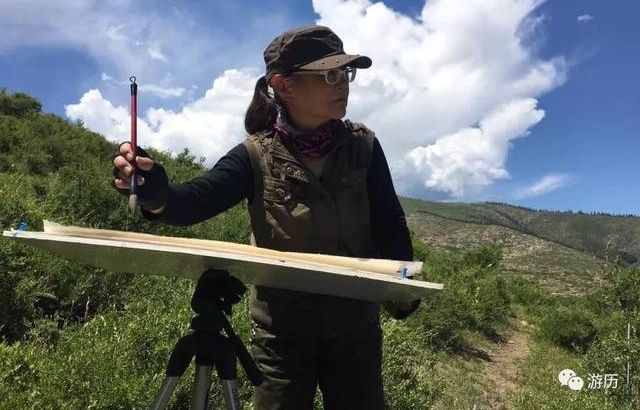 边走边看 | 旅途中的美展