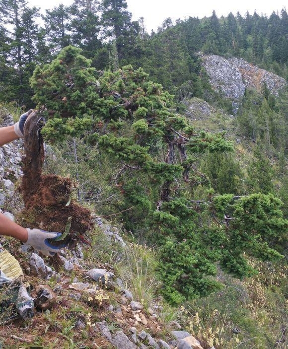 ɽһùСȼʮ׮ֵǮ