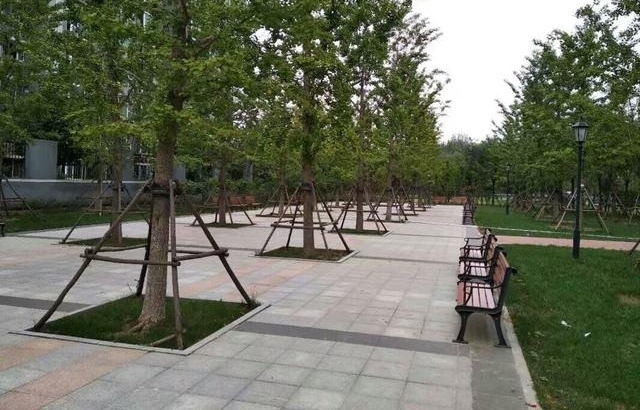 ���տ���-��ʧ�ڷ������ֵġ����С������������ζ��