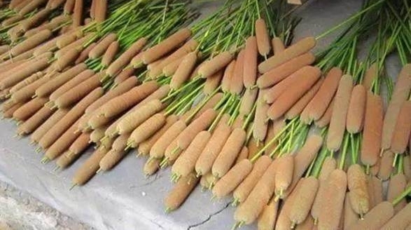 �����������֡��㳦����һ��֮�󷢴���Ƿ׷ױ�ʾû����