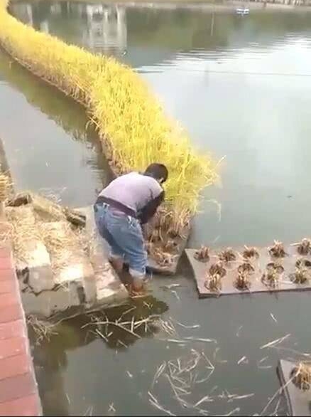 ��������ˮ�����и�һ���𡰴��ӡ���·�˲��⣬�߽�һ���׷׵���