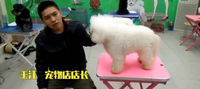 ڼϳﹷҲԹˣ30Ԫһ죬˹᲻