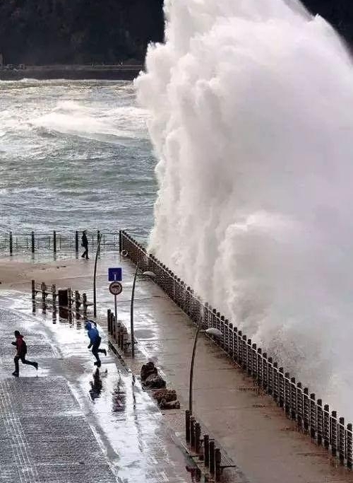 29�Ų���˼�����Ƭ��һ������...