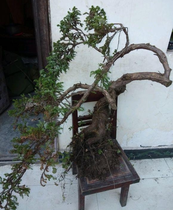 ɽһùСȼʮ׮ֵǮ