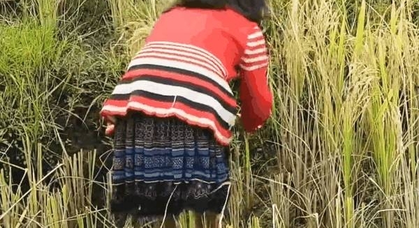 ʵ��Խ�����յ��ȣ��й��οͣ����������������յ��ȵģ�