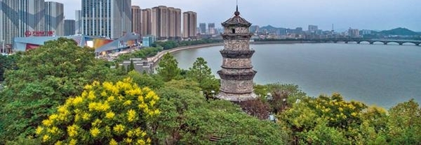 市区最“老”的公园——双塔公园掠影