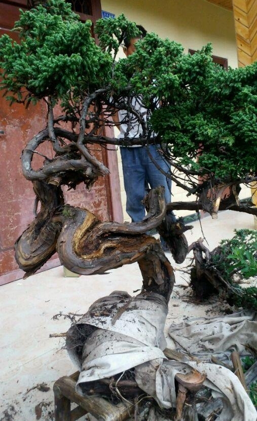 ɽһùСȼʮ׮ֵǮ