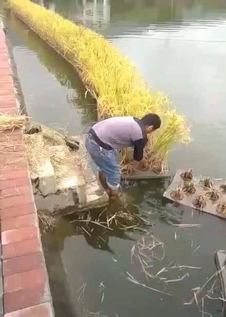 ��������ˮ�����и�һ���𡰴��ӡ���·�˲��⣬�߽�һ���׷׵���