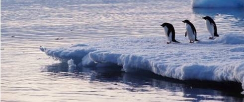 ϼ޵һ׮ıɱֻܹ͸ƿԱһͱ࡭