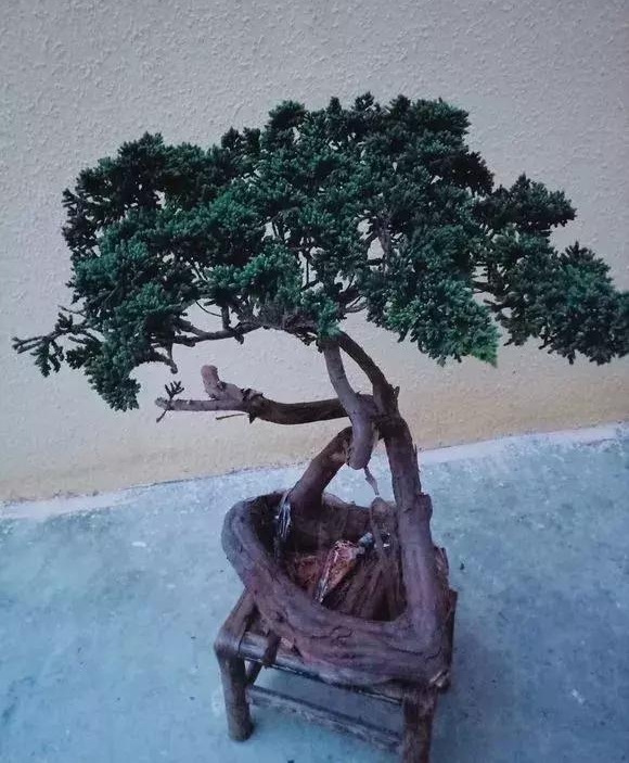 ɽһùСȼʮ׮ֵǮ