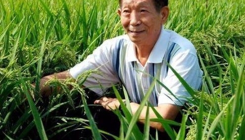 30�겻���̣��й�������æʲô�������������˸�����ʵ����