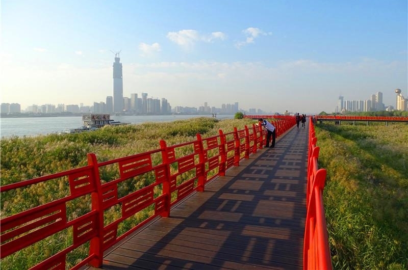 六年前的观芦小桥建议 今朝变成芦花栈桥 汉口江滩芦花栈桥建成