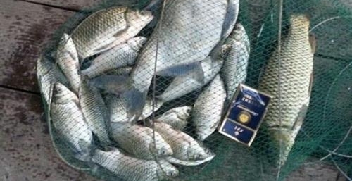 лصҰ䷽Ե϶᲻ɿڣ