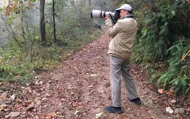 边走边看 | 旅途中的美展