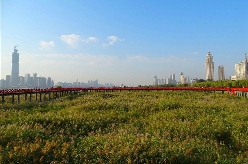 六年前的观芦小桥建议 今朝变成芦花栈桥 汉口江滩芦花栈桥建成