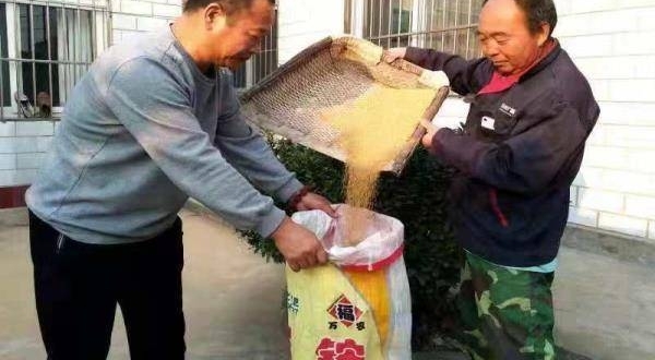 书记卖小米 扶贫为村民