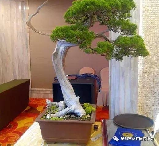 Ȫ�ݻ�Э���ؽ������辰Э����Ľ����»ỻ���ѡ���Բ���ɹ�