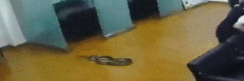 2�׳���15���صĴ��ߡ�������������·�����ĳ����