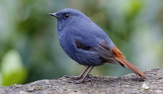 边走边看 | 旅途中的美展