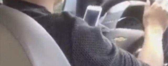 ε˾ٱɱͷ˵⳥10Ԫ ѣ