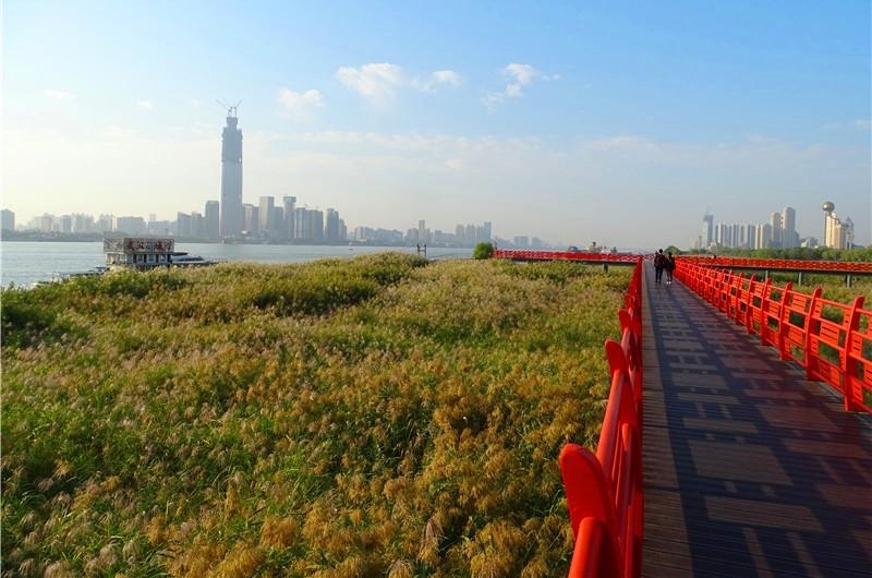六年前的观芦小桥建议 今朝变成芦花栈桥 汉口江滩芦花栈桥建成