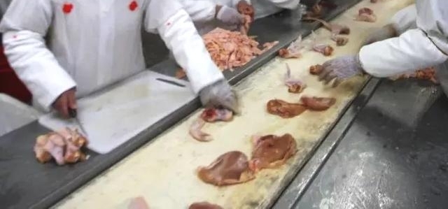 Ϊ˽ٴ롰ʳƷҵڲˡˮ