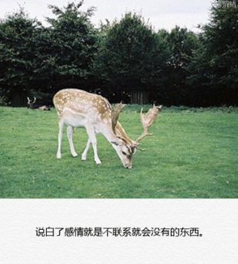 ֻĺ