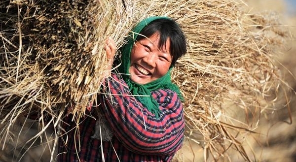 【纪检人·镜头】万物收藏 静待寒冬