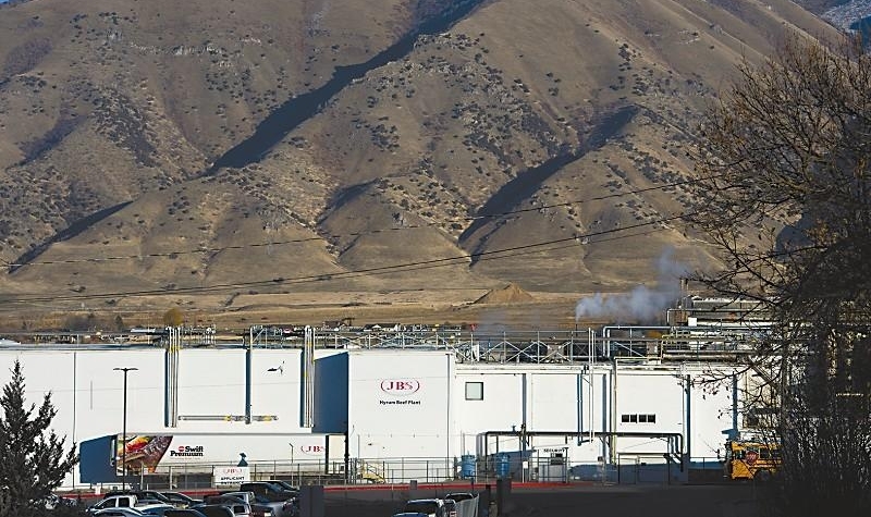 JBSΪйгṩõĲƷͷ