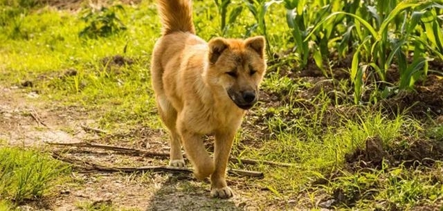 ݴүΪл԰Ȯ֤ܣԱΪȮ