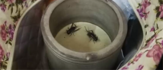 200��ƽ���Ӽ�50���� ��������ʱ����ͻȻ���˽���