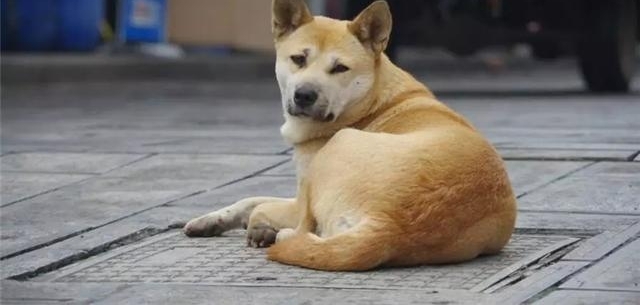 ݴүΪл԰Ȯ֤ܣԱΪȮ