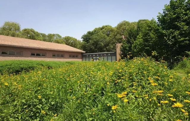 �ܶ���ʱ�������ż���ְ����ף�ĸ￪����ʮ�����黭��Ʒչ����