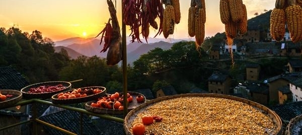 【纪检人·镜头】万物收藏 静待寒冬