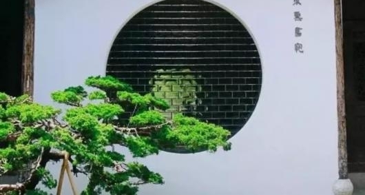 �ӵ�������ˮ�� ̽Ѱ�Ϻ��Ļ�֮��