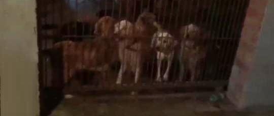 ̣ŮѰҰȮֺ ಿŲ鴦ϰٻȮ