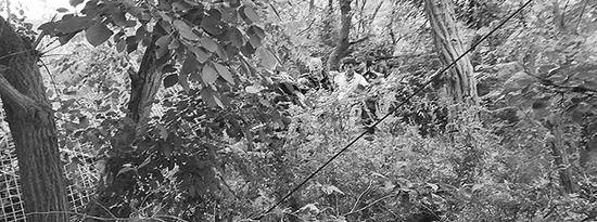 ������֢��̫�������۶��������ɽ�� 5��4ҹ����