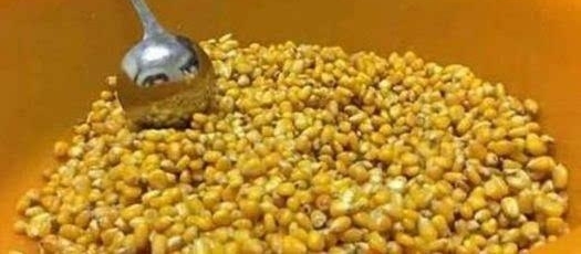 秋天野钓打窝离不开它,鱼见了就走不动道,留鱼时间至少三倍以上