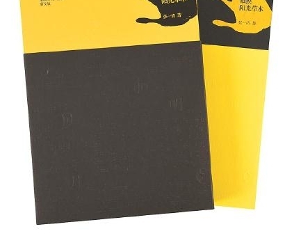 25种“最美的书”揭晓:盲文书首次入选 带人走出黑暗