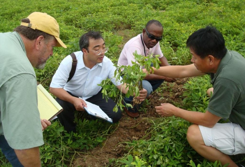 河南第11位!张新友院士荣获何梁何利基金奖