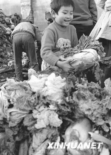 30ǰĶ죬Щʳ99%ı˶Թᱼ