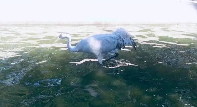 ������� | κ˼Т��һ������ũ����й���