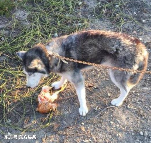 ʿ뼦ѣһ⡰Ѫϴ600ֳֻҲ̶á