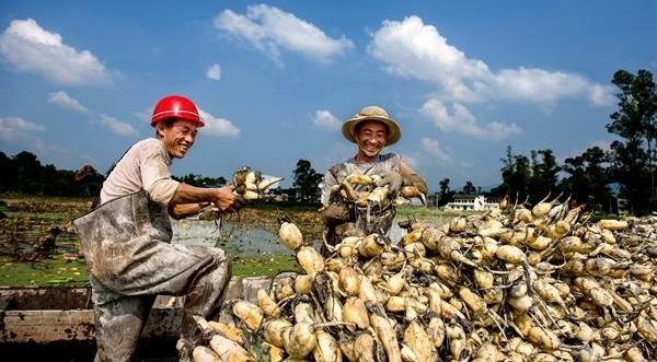 【纪检人·镜头】万物收藏 静待寒冬