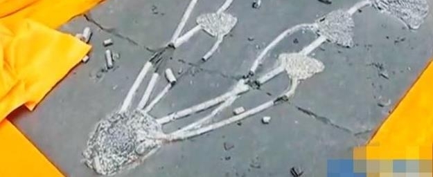 껯ʯĿݴ, ˳20, ˳: Բ, ɵ