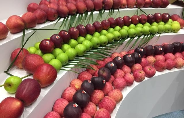 ƻ��Ҳ������ô�棿��ͨ���չ������Ϣ���ô�