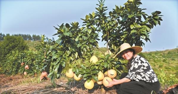 ͽ�����ӹŵ� ��վ���˷���