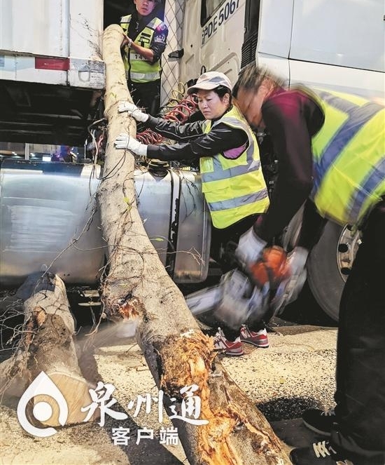 ˫11չ ĿݿȪﰲ·̯¡ˣ